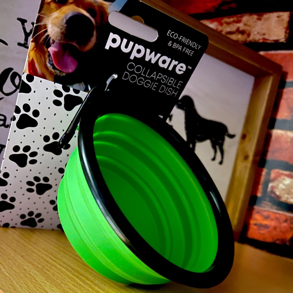 Collapsible dog bowl